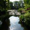 Dans le jardin d'eau : arrivée au bassin des Nymphéas.
