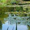 Reflet du pont Japonais.
