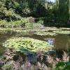 vue du jardin d'eau