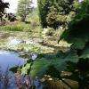jardin d'eau