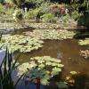 jardin d'eau
