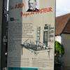 Maison Pasteur en bref...