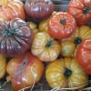 Tomates de saison, épicerie Maison Ruellé à St Georges sur Moulon (18)