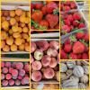 Fruits de saison, épicerie Maison Ruellé à St Georges sur Moulon (18)