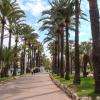Me Ronit Antebi - Avocat Cannes - http://www.avocat-antebi.fr/