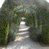 une allée du jardin