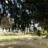 Dans le parc