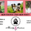 Mandy C. Toutous – Educateur et comportementaliste canin 