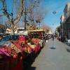 Marché Mèze hiver 7