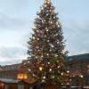 le sapin 2014 : plus de 30 mètres parait-il !