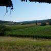 Vue d'une cadeule 