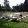 bassin du parc