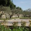 mcreat-terrassement-amenagement terrain de petanque montauroux var