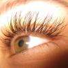 profil extension de cils