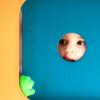 Micro-crèche Youbee For Kids “L’abri-côtier“ de Pessac
