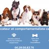 Milie KniD – Comportementaliste et éducateur canin entre Dourdan, Chartres et Rambouillet 