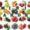 Fruitiers