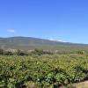 Au pied du Mont Ventoux