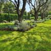 conception,entretien,création,jardins,espaces verts,paysagisme	