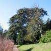 L'arboretum