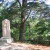 Tombe de Clémenceau au Colombier