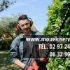 Mouelo services