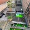 Recherche de fuite par colorant, fluorescéine, sur la terrasse d'un appartement.