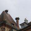 Sur la place centrale de Munster .10/08/2014
