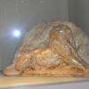 maquette du Lion de Belfort 