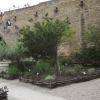 le jardinnet