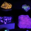 Salle chambre noire : les minéraux fluorescents. 