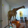 La Girafe qui nous accueille à l'entrée du Muséum