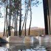 Jacuzzi, vue sur les pins et la pelouse !
