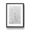 Nadim Zeraïa photographie fine art Montpellier