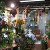 interieur du magasin