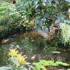 le bassin 