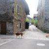 une des rues de Nernier