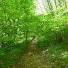 En chemin...