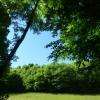Que de verdure! On respire