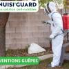 Destruction de nid de guêpes et frelons à Lyon par Nuisiguard – Intervention rapide et sécurisée