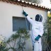 Destruction d'un nid de frelon sous un toit