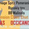 Elevage Pension Chien Chat Occicanis