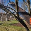 abattage arbres 31