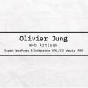 Olivier Jung
Web Artisan

Expert WordPress & Intégrateur HTML/CSS depuis 1998