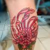 Chrysanthème