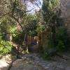 les ruines

