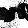 ORA artiste peintre - trace de l'encre de Chine