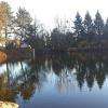 Le lac du centre l'eau verte
