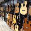Une sélection rigoureuse de plus de 250 Guitares ...