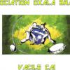 notre Association Familia Oxala Brasil